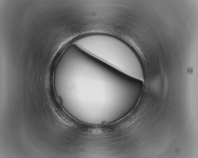 X0000096390588200801241118