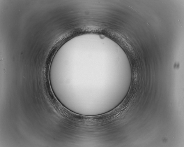 X0000096390591200801241118