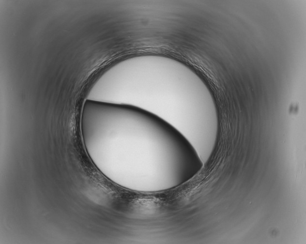 X0000096390595200801241118