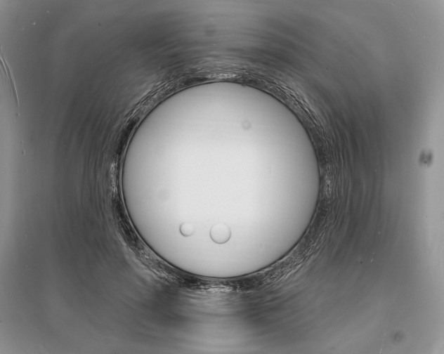 X0000096390598200801241118