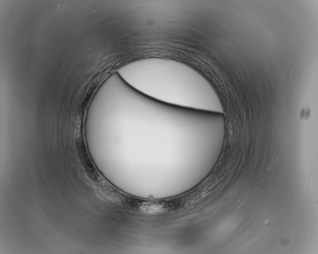 X0000096390602200801241118