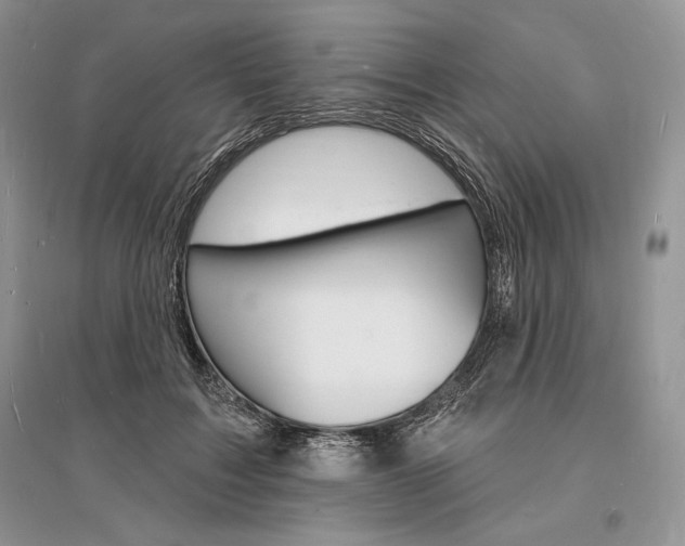X0000096390603200801241118