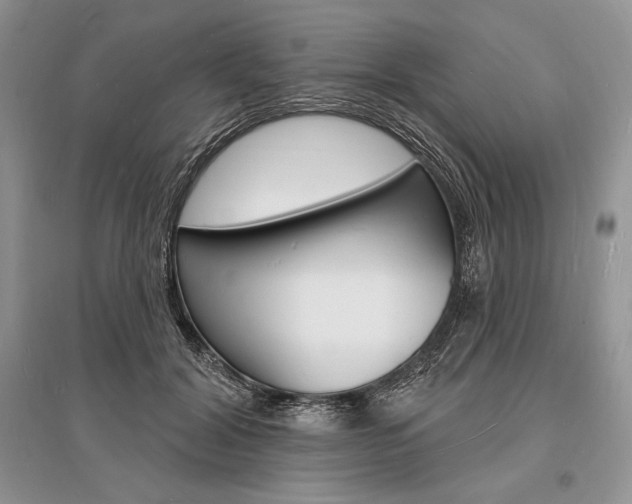 X0000096390604200801241118