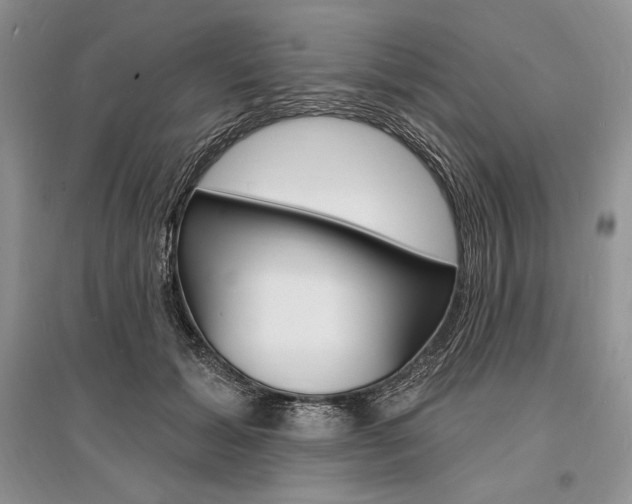 X0000096390605200801241118