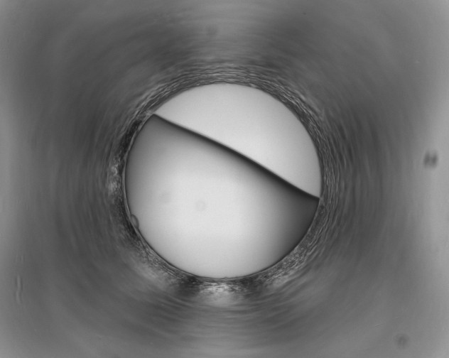 X0000096390611200801241118