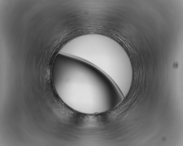 X0000096390613200801241118