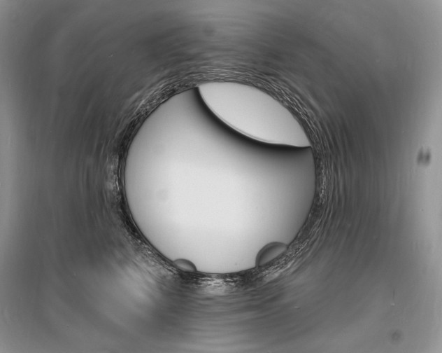 X0000096390616200801241118