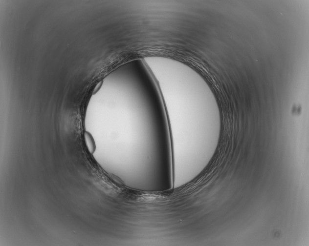 X0000096390617200801241118