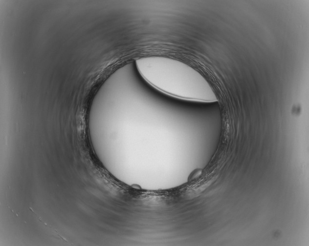 X0000096390620200801241118