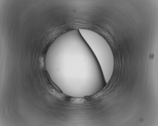 X0000096390621200801241118