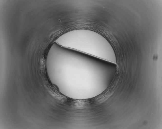 X0000096390623200801241118