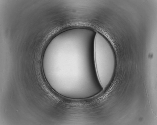 X0000096390625200801241117