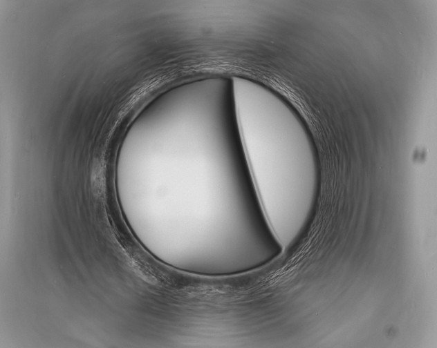 X0000096390626200801241117