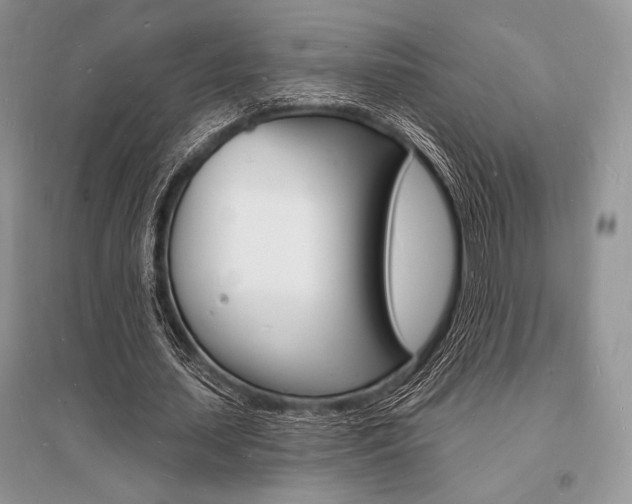 X0000096390627200801241117