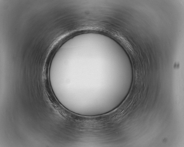 X0000096390628200801241117