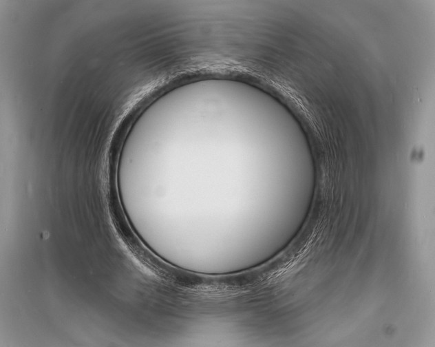 X0000096390630200801241117