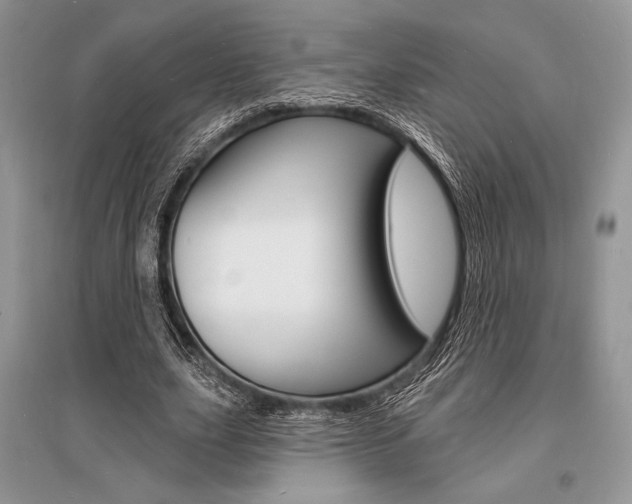 X0000096390631200801241117