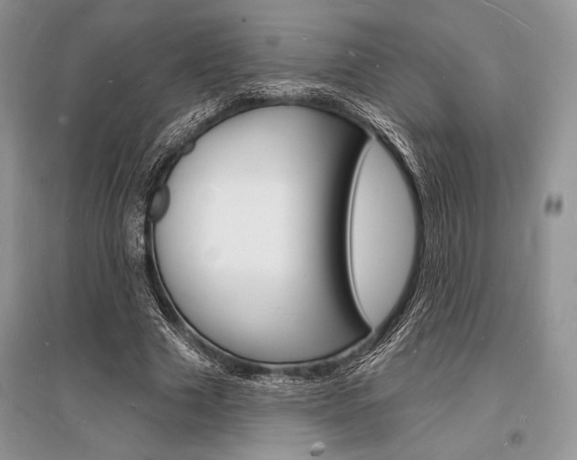 X0000096390633200801241117