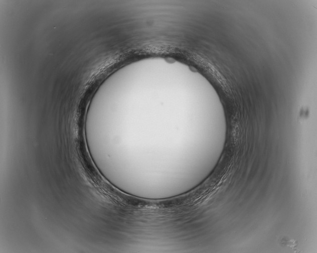 X0000096390635200801241117