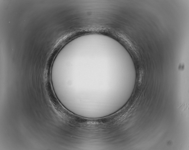 X0000096390636200801241117