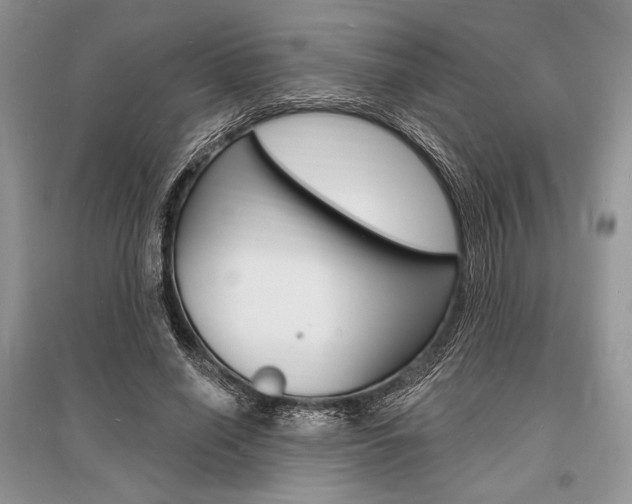 X0000096390638200801241117