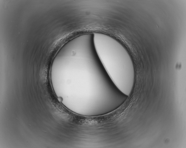 X0000096390640200801241117
