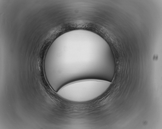 X0000096390643200801241117