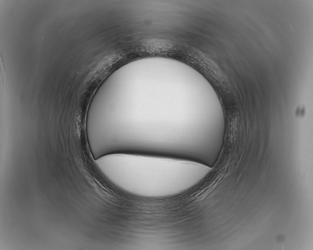 X0000096390644200801241117