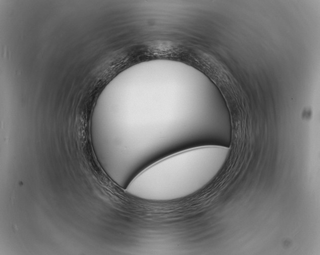 X0000096390653200801241118