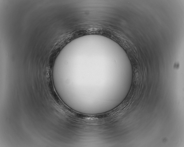 X0000096390654200801241118
