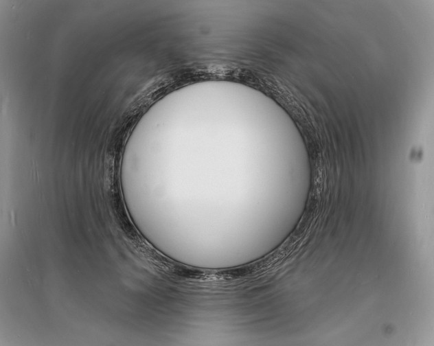 X0000096390656200801241118
