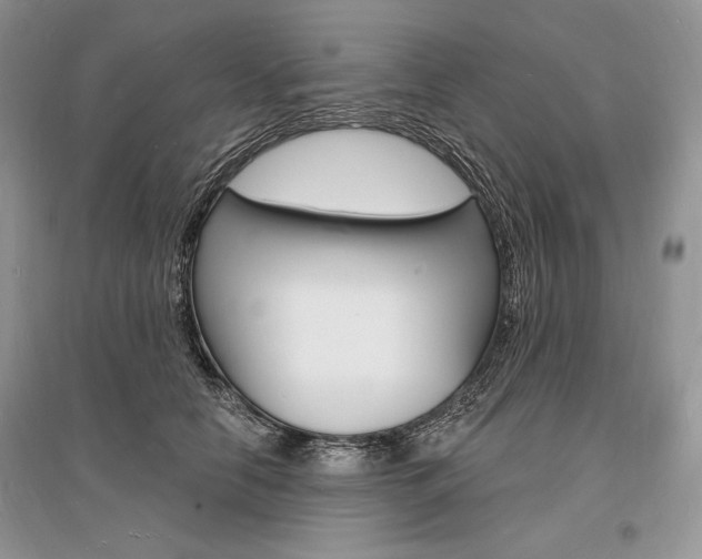 X0000096390658200801241118