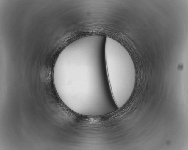 X0000096390660200801241118