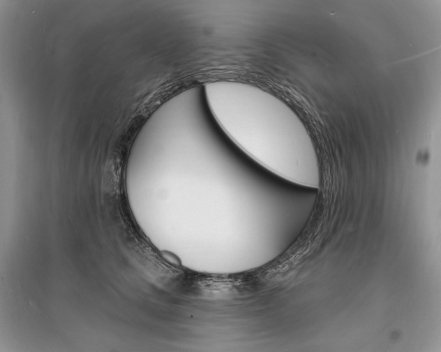 X0000096390661200801241118