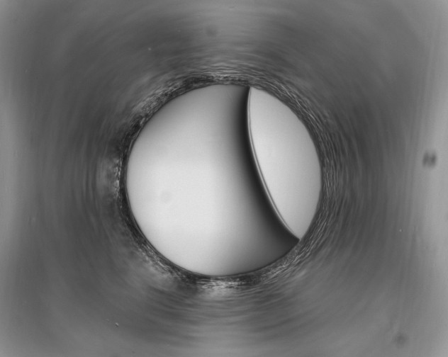 X0000096390664200801241118