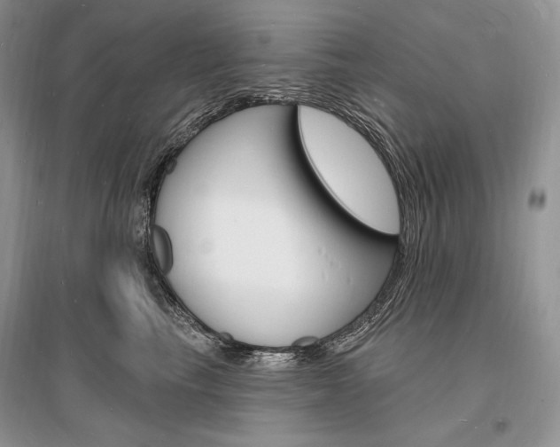 X0000096390665200801241118