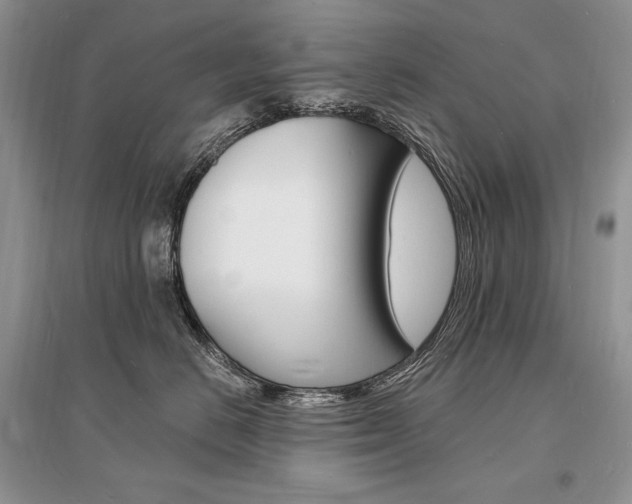 X0000096390670200801241118