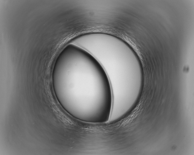 X0000096390673200801241117