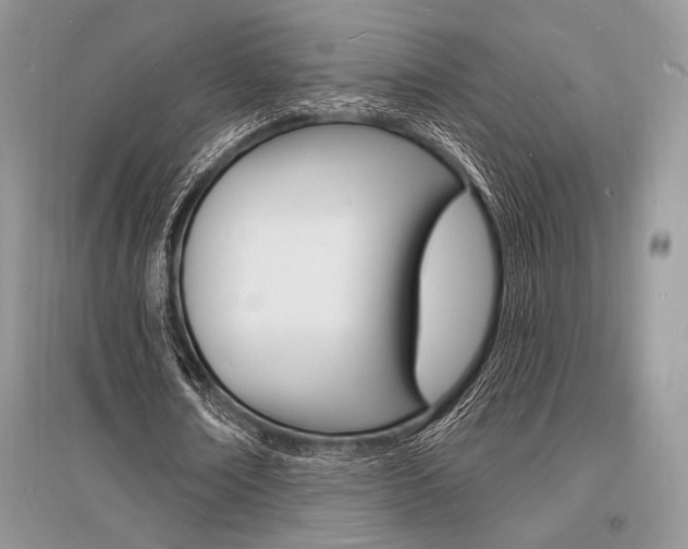 X0000096390674200801241117