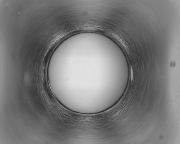 X0000096390675200801241117