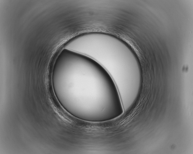 X0000096390677200801241117