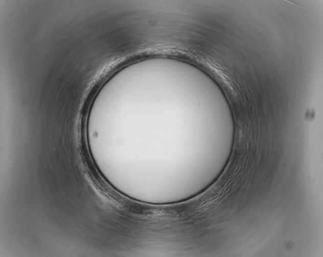 X0000096390678200801241117