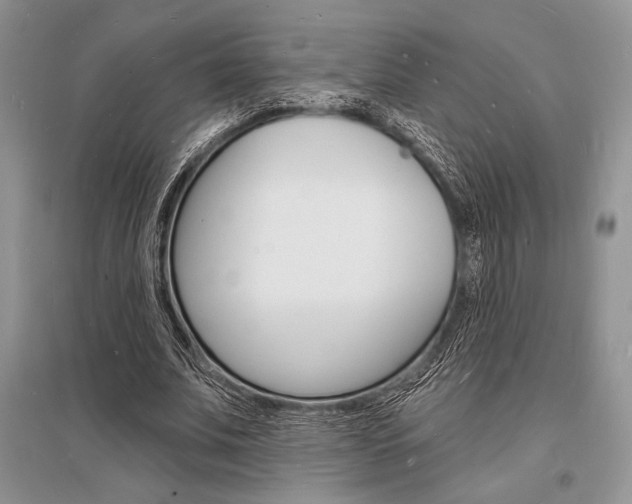 X0000096390679200801241117