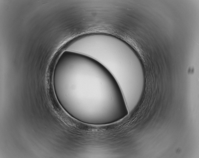 X0000096390680200801241117