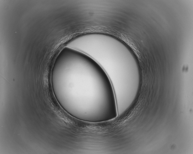 X0000096390681200801241117