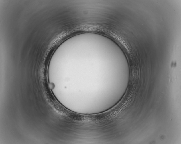 X0000096390682200801241117