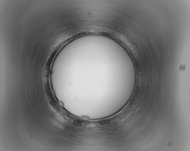X0000096390683200801241117