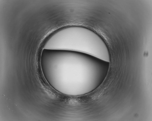 X0000096390684200801241117