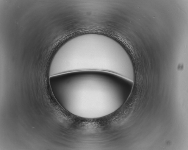 X0000096390689200801241117