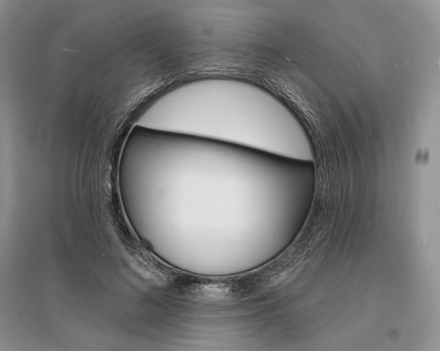 X0000096390692200801241117